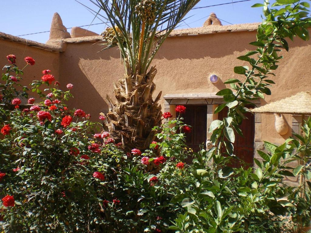 Maison D' Hotes Ait Hmid Nkob Luaran gambar