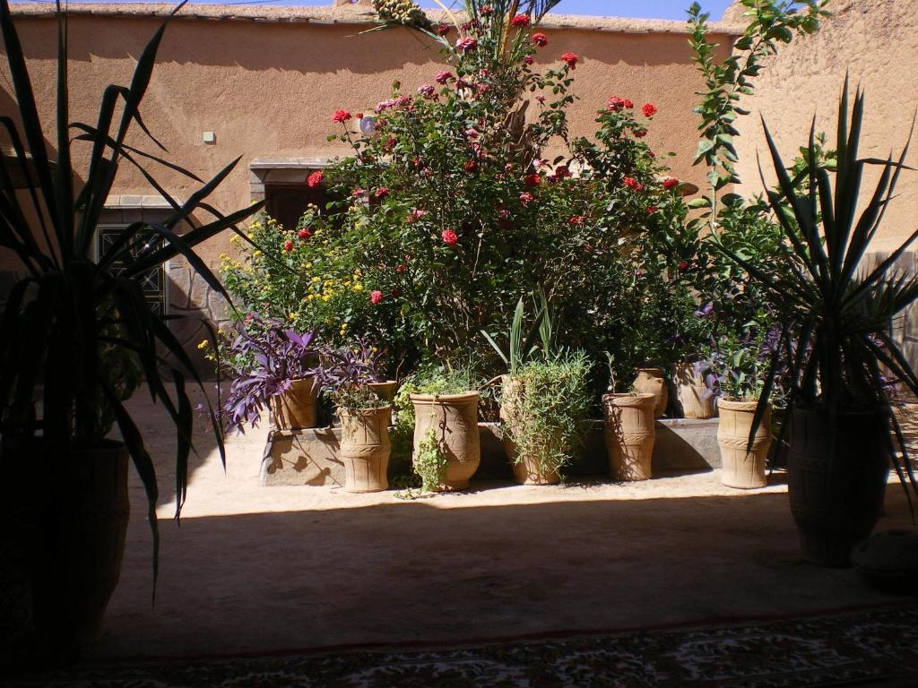 Maison D' Hotes Ait Hmid Nkob Luaran gambar