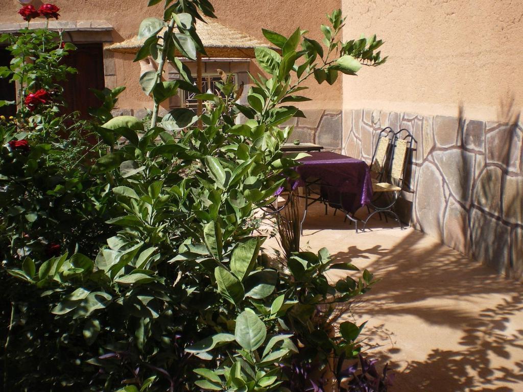 Maison D' Hotes Ait Hmid Nkob Luaran gambar