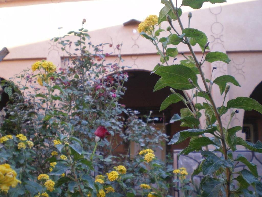 Maison D' Hotes Ait Hmid Nkob Luaran gambar