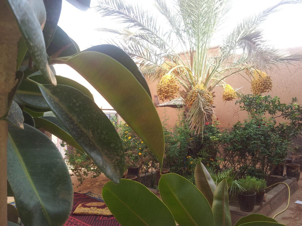 Maison D' Hotes Ait Hmid Nkob Luaran gambar